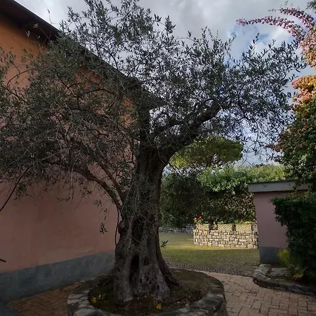 Casa Rosa